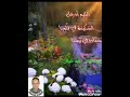 لما تسمع اسم النبي لزم تصلي عليه لما تسمع اسم النبي لزم تصلي عليه