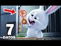 7 Curiosidades de La Vida Secreta de tus Mascotas