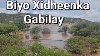 Biyo Xidheenka Gabilay Somaliland 2024