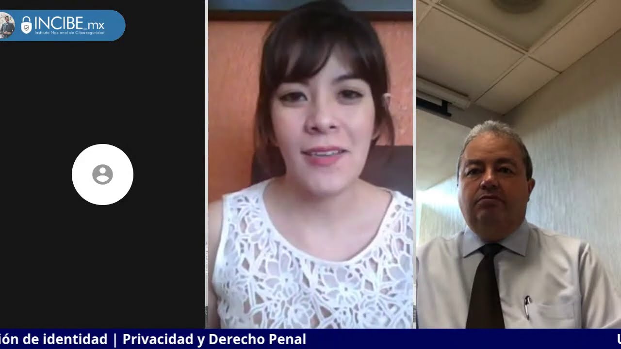 Usurpación y suplantación de identidad, privacidad y derecho penal