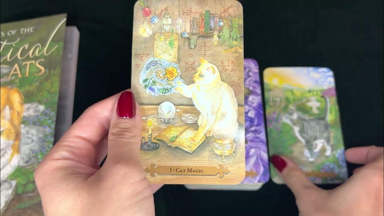 Mystical Cats Tarot / Таро Мистических кошек - обзор и особенности ...