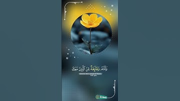 تلاوة الرايعه ماشاءالله تبارك الرحمن اسمع في القلب. #اكسبلور #المصحف