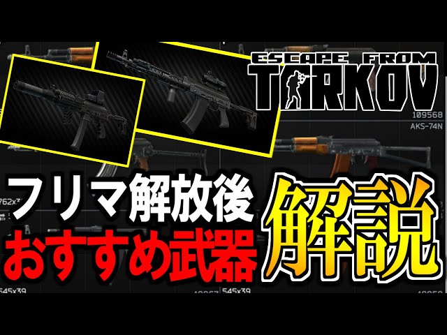 タルコフ解説】武器カスタマイズはこうやれ！！レベル15以降使える武器
