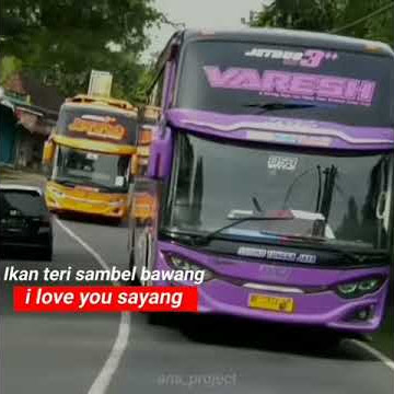 Story wa bus STJ 30 detik