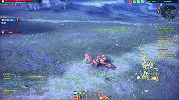 Tera Online - Closed Beta Testing