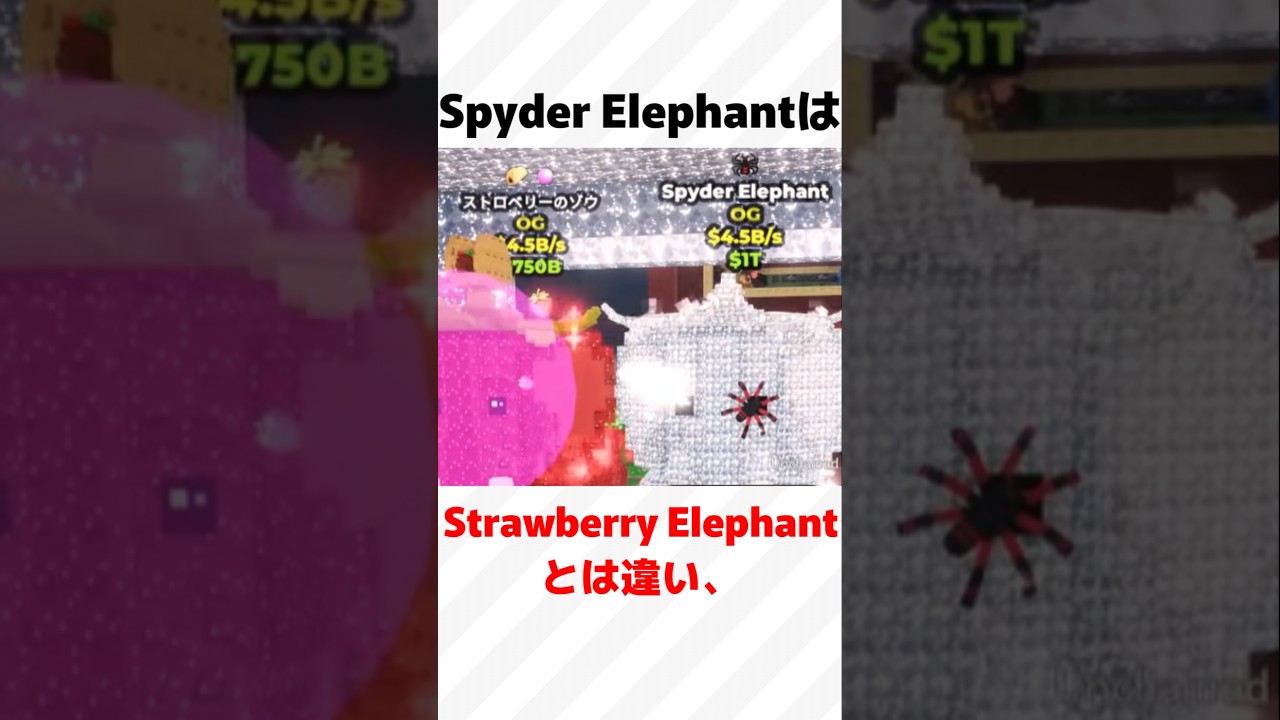 🕷スパイダーエレファントを超詳しく✏️