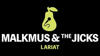 Stephen Malkmus &amp; The Jicks - Lariat (Karaoke)