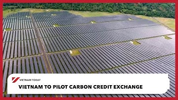 Vietnam’s carbon market potential unveiled | Vietnam Today