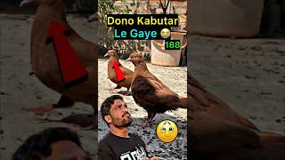 Mini Vlog 188 | 2 Lal Kabutar Mere Pas Se Chale Gaye 😢
