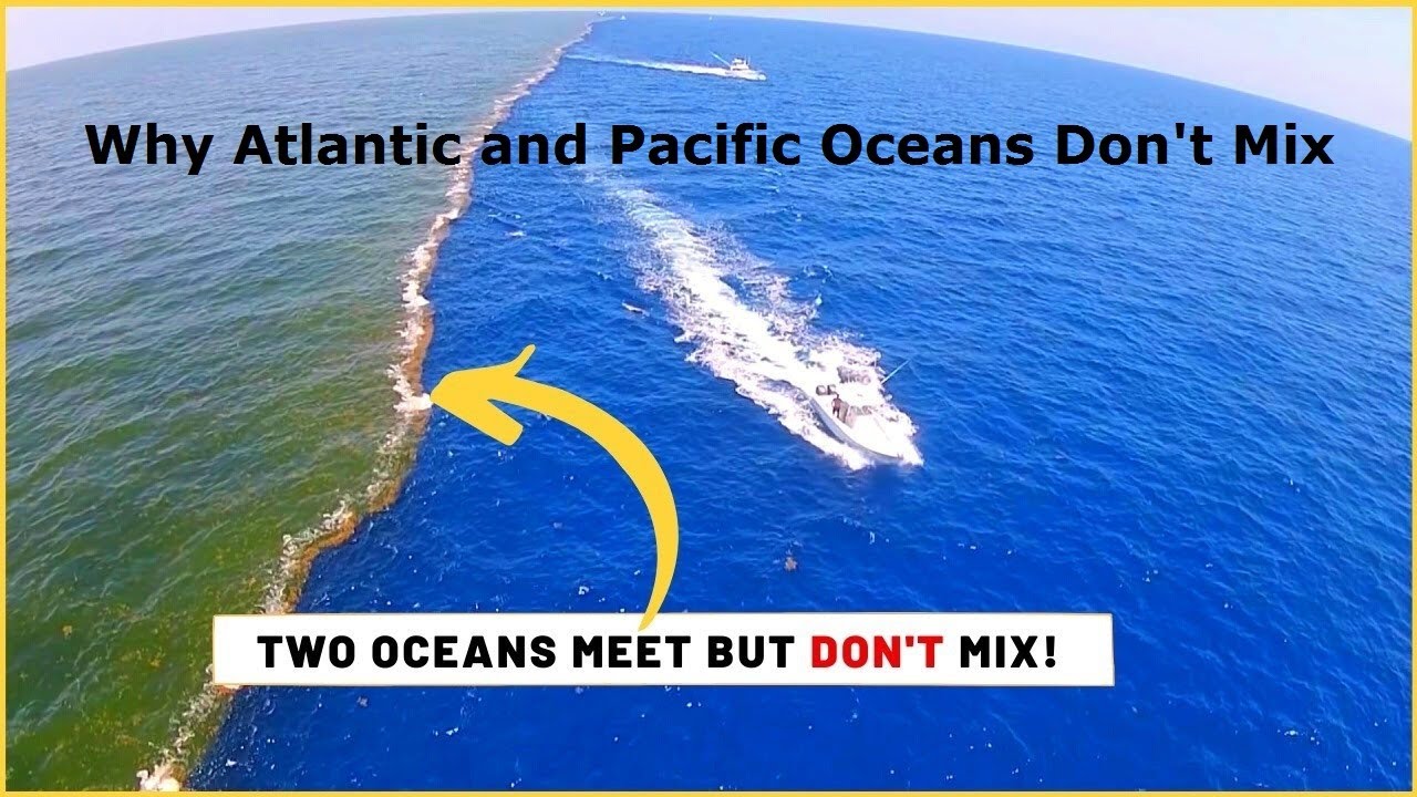 Why the Atlantic and Pacific Oceans Don't mix | Atlantic and pacific
