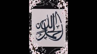 Muhammad Nabina|Aysha Abdul Basith ✨✨