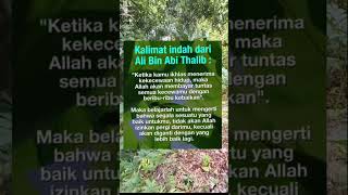Kalimat Yg Sngat Menyentih Dinding Hati Namun Merinding Di Kala Membacanya pesan motivasi