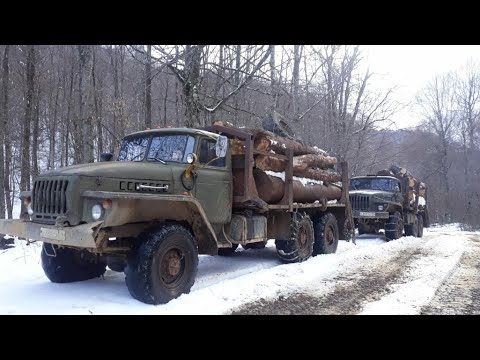 Лесовозы песня макс