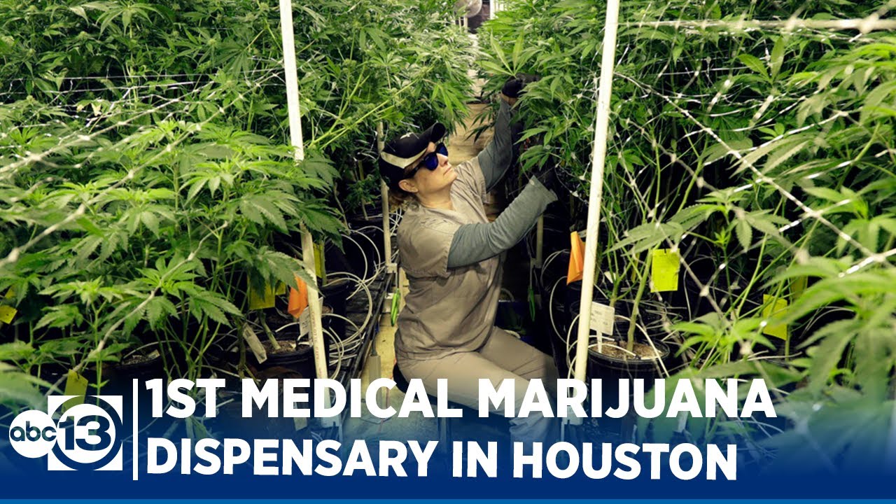 Houston area is home to the newest medical marijuana dispensary YouTube