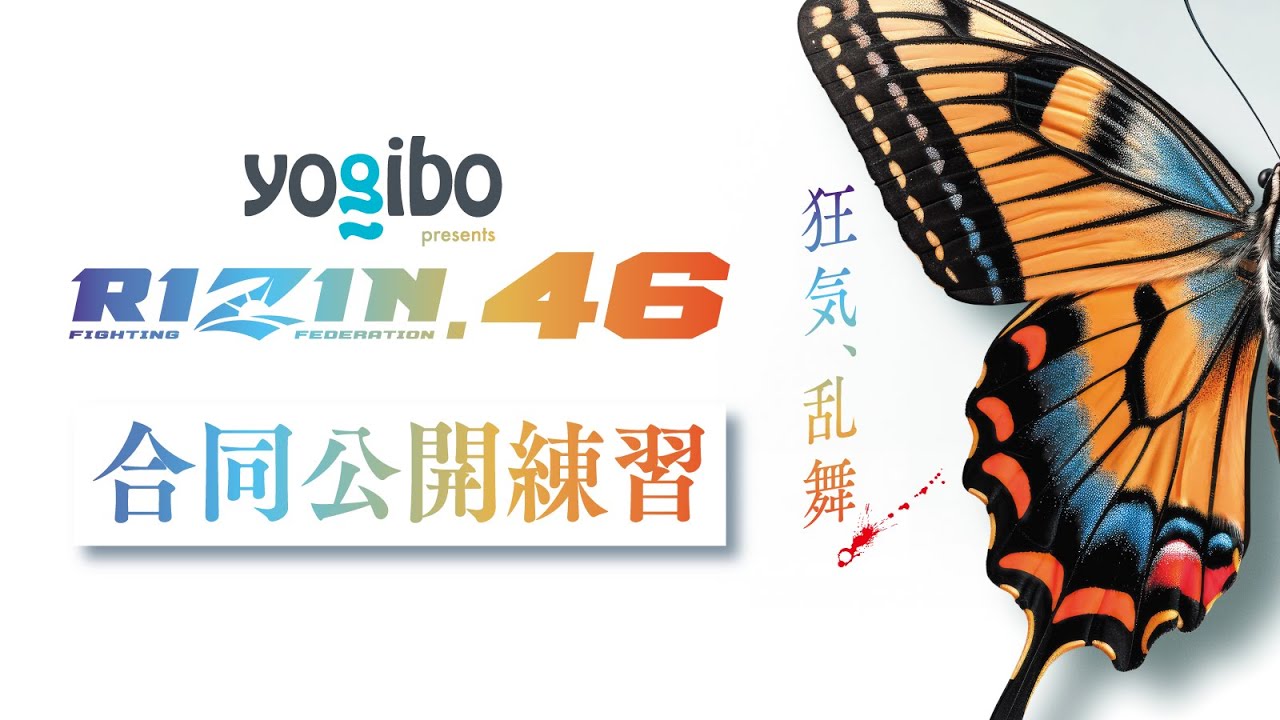 実践　2023 全巻＋116回実践 実践2023 全巻＋116回実践