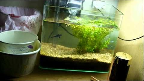 NTU VFX 2011 Assignment #3 MatchMove 005