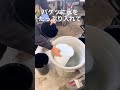 お花屋さんムキムキ説#花屋 #shorts