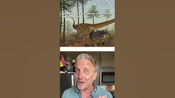 Could dinosaurs have created sonic booms?