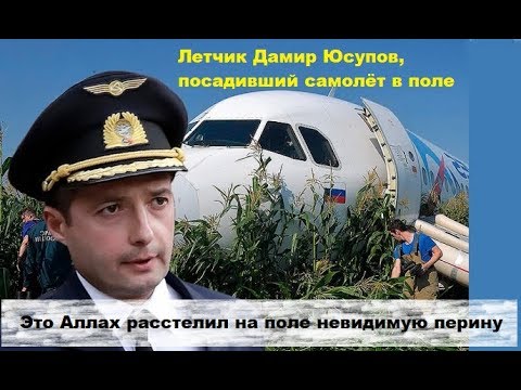 Пилот посадил самолет на кукурузное поле дамир юсупов. В каком году юсупов посадил самолет. Уральские авиалинии кукурузное поле пилот. А321 дамир юсупов. В каком году юсупов посадил самолет.