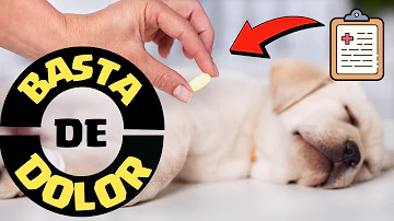 ¿Puedo darle a mi perro tramadol para el dolor?