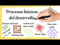 PROCESOS BÁSICOS DEL DESARROLLO (en biología)