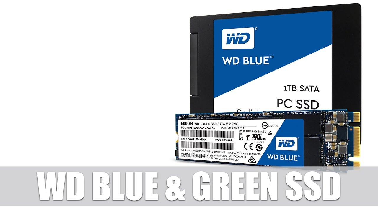 Wd Blue Или Samsung Evo