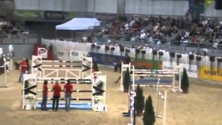 8-Years-Old Gelding S.quando Quando X Dularus