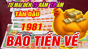 BÃO TIỀN đúng từ mai đến 15 rằm tháng 8 âm Tuổi TÂN DẬU 1981  TRỜI ĐANG ĐỘ TRÚNG ĐỘC ĐẮC CỰC GIÀU