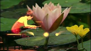 Keiko Matsui   Water Lily