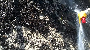 Dredge Project-Organics on Scalping shaker Del Tank