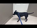 BUSTER HAS CANCER!!!