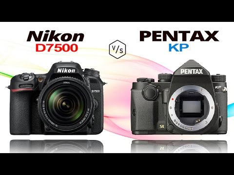 Nikon D7500 vs Pentax KP