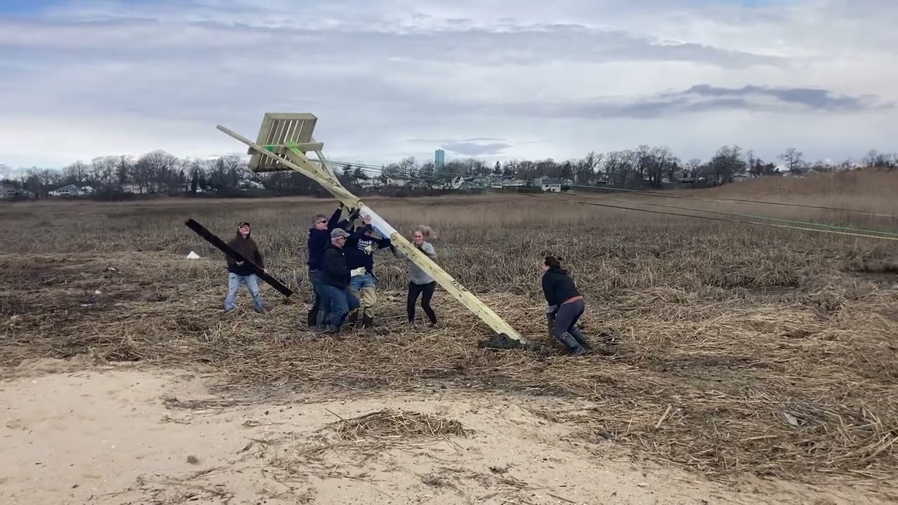 Osprey Nest Platform Installation