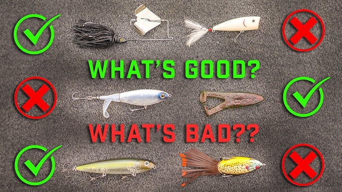 What Is The BEST TOPWATER Lure?? (Spook VS Popper) 