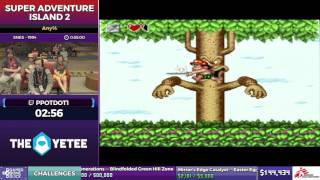 Super Adventure Island 2 by Ppotdot1 in 48:47 - SGDQ2017 - Part 15