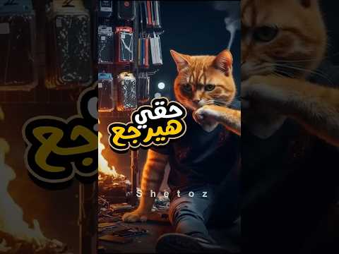 الغدر حرق بضاعة مياوو الرد هيبقى اسطوري Cat Story Catlovers Kitty قطط Cutecat Ai Shorts