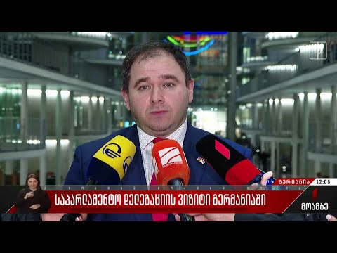 საპარლამენტო დელეგაციის ვიზიტი გერმანიაში