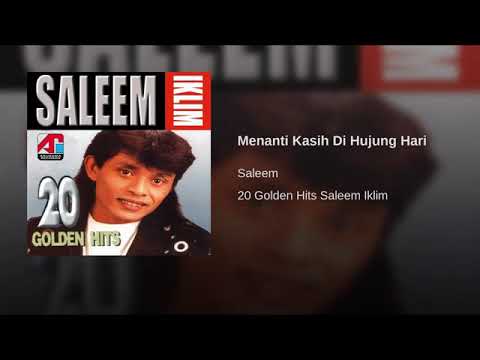 SALEEM Menanti kasih Di hujung hari