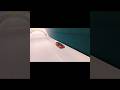 Legend vs legend #carparkingmultiplayer #automobile #gaming
