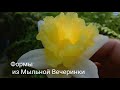 Мыловарение| Заливка силиконовых форм с сайта Мыльная Вечеринка | начинающий мыловар | цветы из мыла