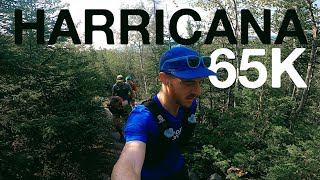 JE SUIS UN LOUP | UltraTrail Harricana 65K