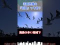 羽田空港の「羽田」って何?