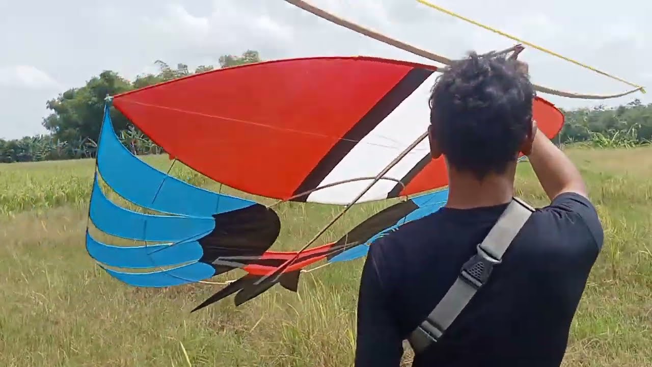 Layangan RAM RAMAN Khas Banyuwangi - Butuh Perjuangan Untuk ...