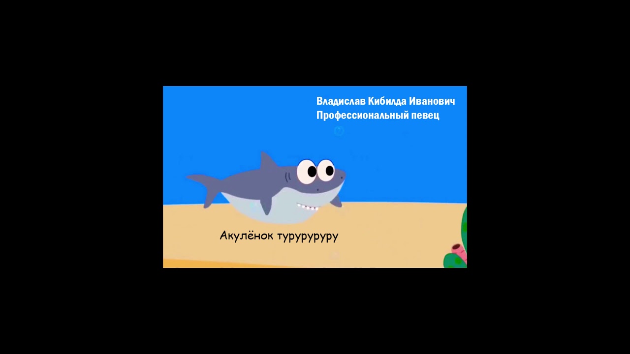 Песня акуленку
