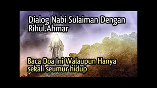 KISAH NABI SULAIMAN BERTEMU DENGAN AR RIHUL AHMAR