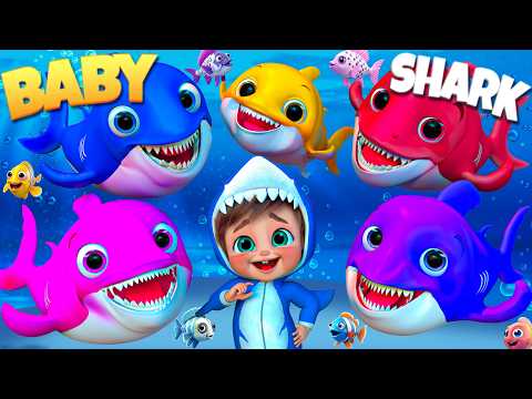 Baby Shark and the Colorful Fish - Nursery Rhymes & Kids Songs By Coco Mama Nursery Rhymes