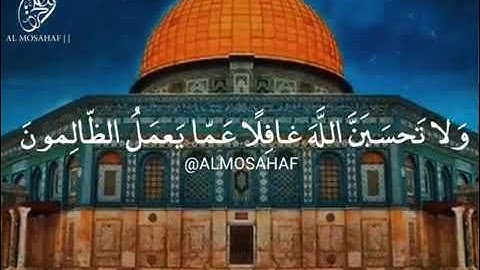 حالات واتس اب قرآن كريم (ولا تحسبن الله غافلاً عما يعمل الظالمون......)