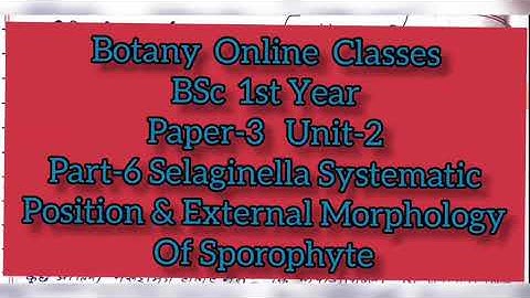 Botany BSc 1st Year Paper-3 Unit-2 Part-6 Selaginella:- Systematic Position and External Morphology