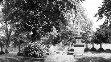 BT - See you on the other side