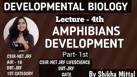 AMPHIBIANS DEVELOPMENT - LECTURE - 4th, DEVELOPMENTAL BIOLOGY CSIR-NET JRF LIFESCIENCE